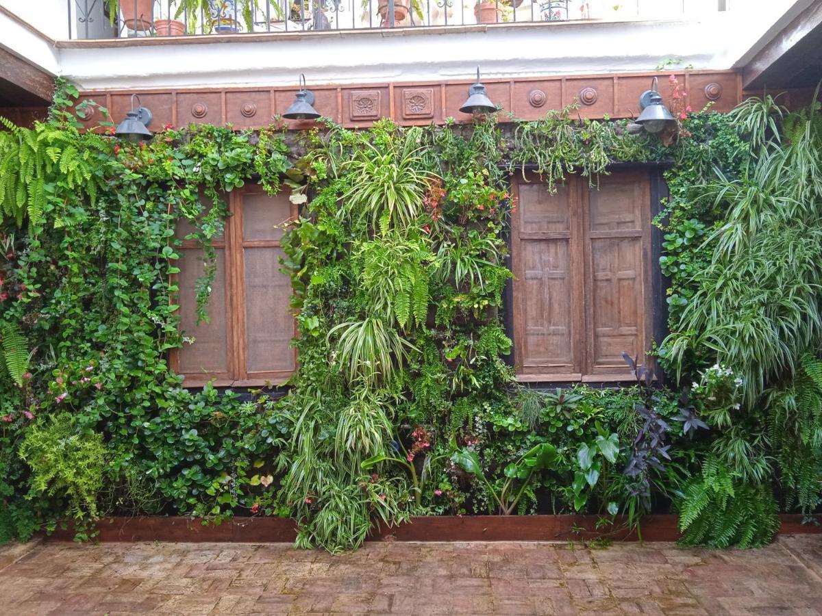 Curioso Apartamento Tipo Loft De 25 M Cuadrados Apartment Sanlúcar de Barrameda Exterior foto